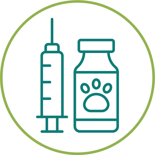 dark green drawing of medication inside of a light green circle